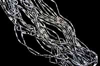 Art.nr: 87660A - HALSKETTING 50cm (10st)
